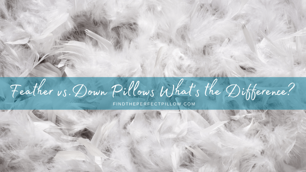 Feather vs. Down Pillows What's the Difference? Find the Perfect Pillow