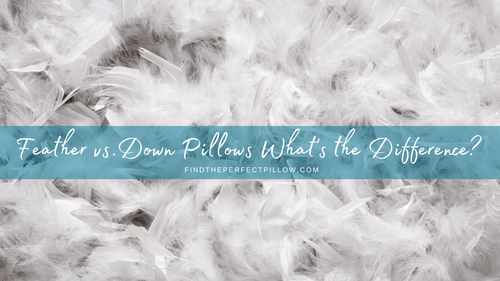 Feather vs. Down Pillows What's the Difference? Find the Perfect Pillow