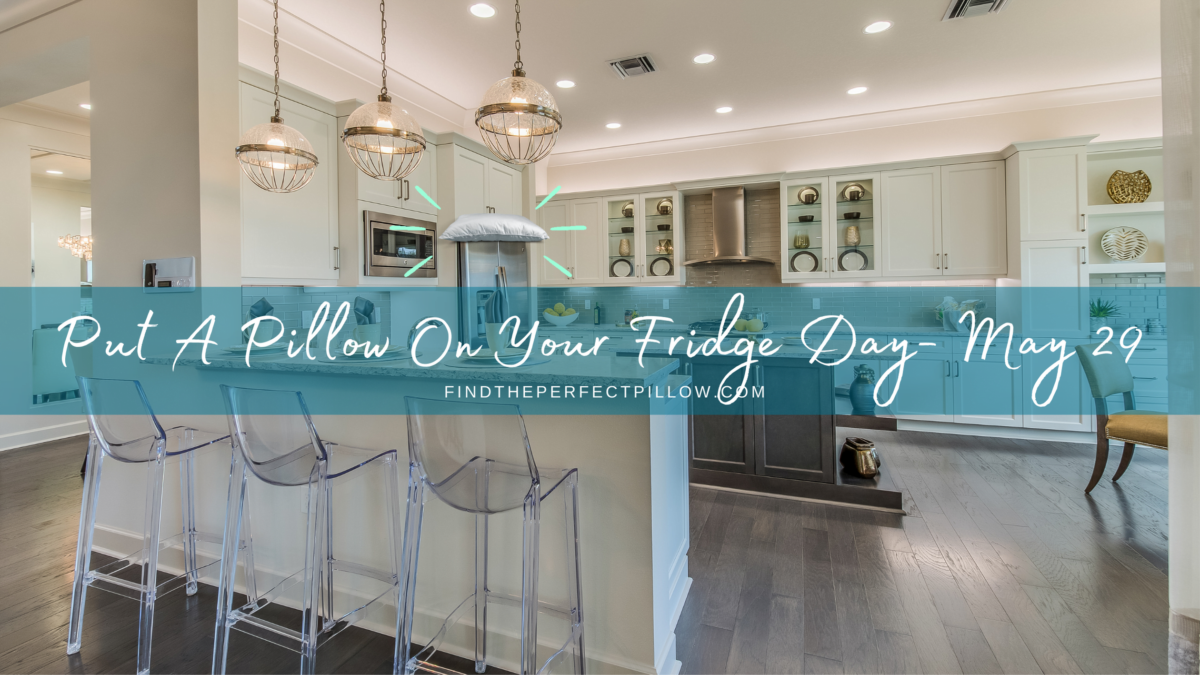 Put A Pillow On Your Fridge Day