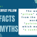 Pillows Fun Facts
