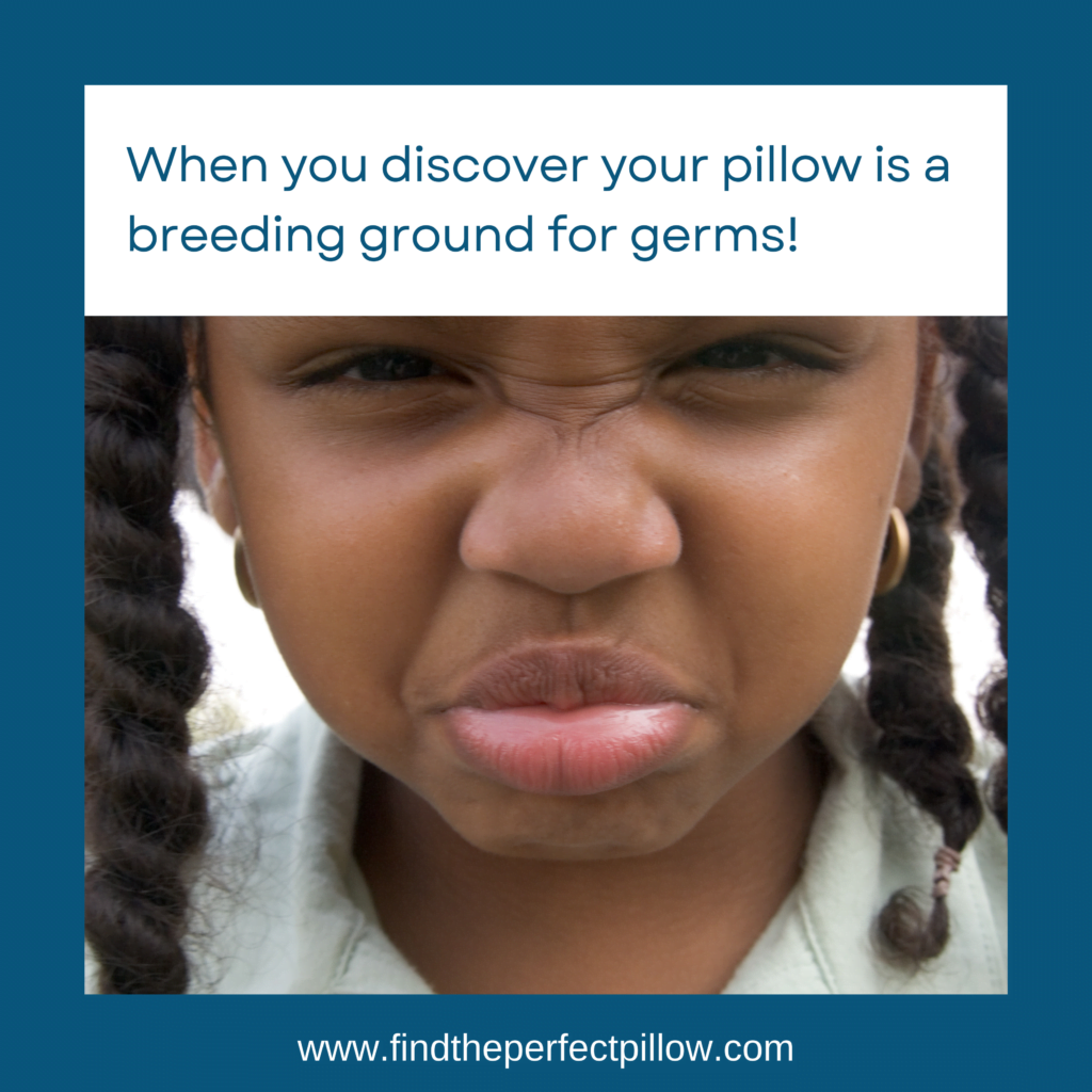 Pillows is a breeding ground for germs